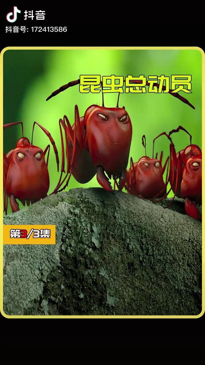 昆虫总动员下红蚂蚁和黑蚂蚁之间胡世界大战场面宏大战斗力十足昆虫总