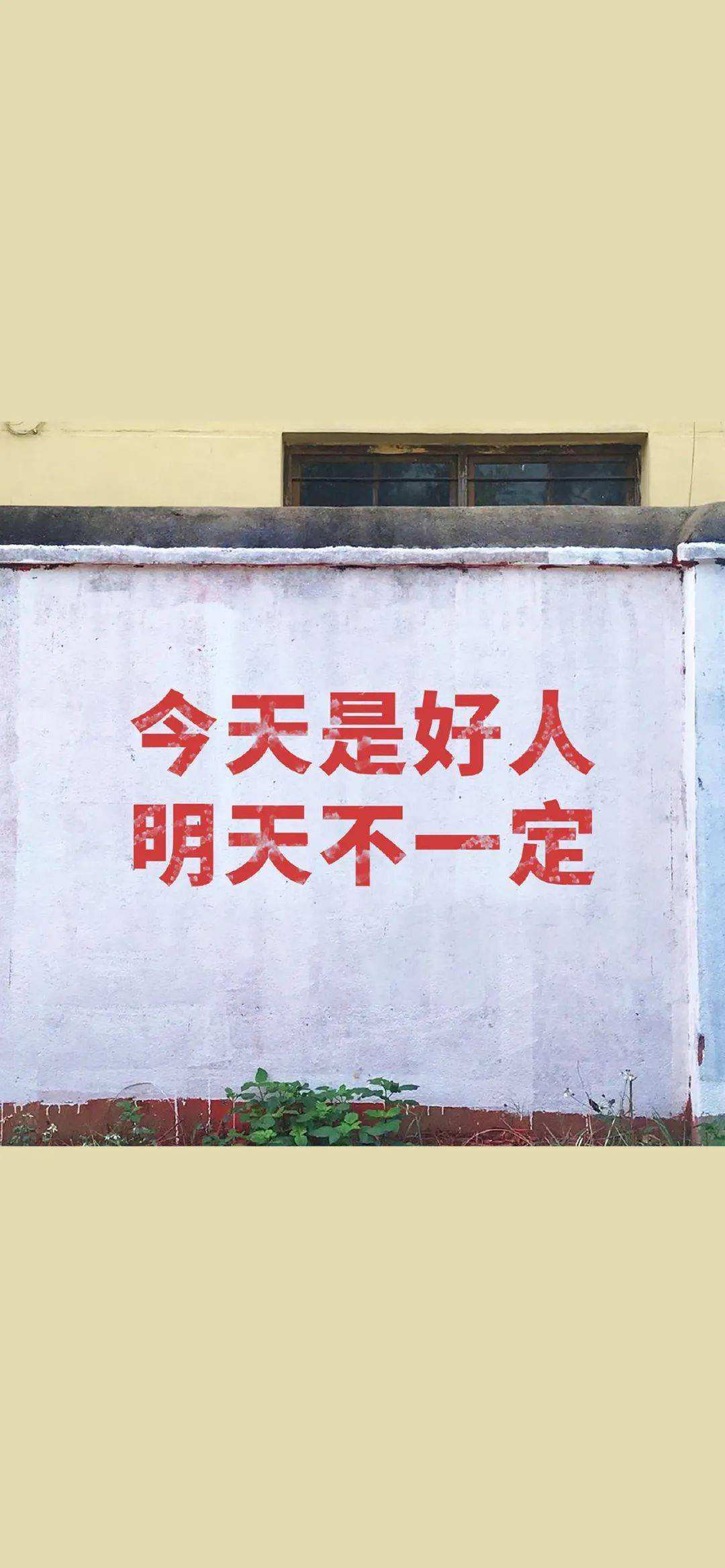 微信壁纸认清形势放弃幻想