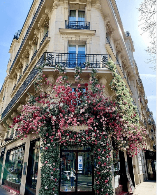 hot刷爆全法的网红花店巴黎人直呼人间伊甸园