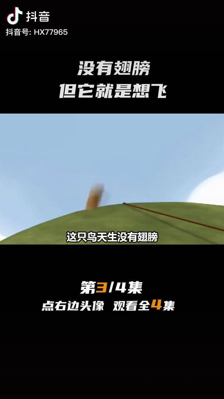 没有翅膀但它就是想飞电影解说我的观影报告