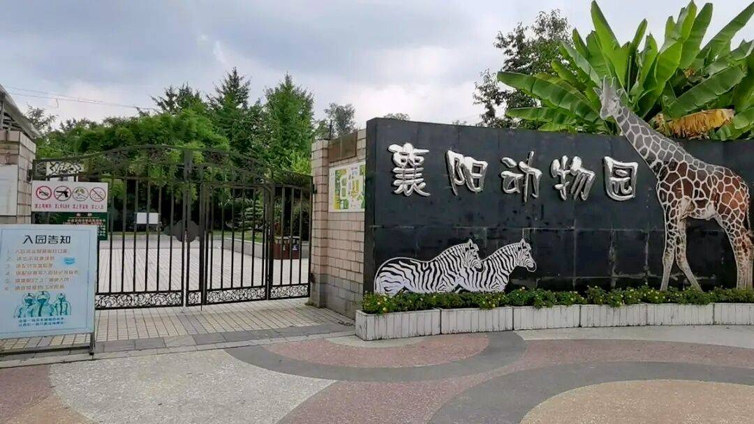 襄阳东津动物园图片