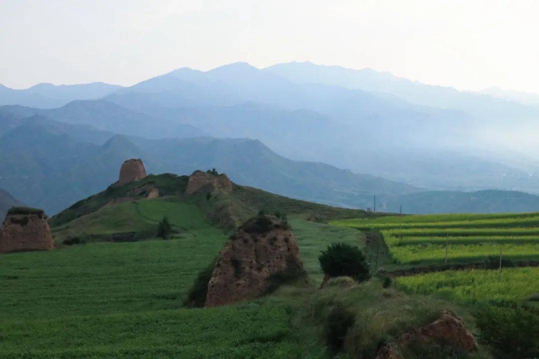 阳高县2022守口堡云上杏花节随手拍摄影大赛投稿作品展示第三期