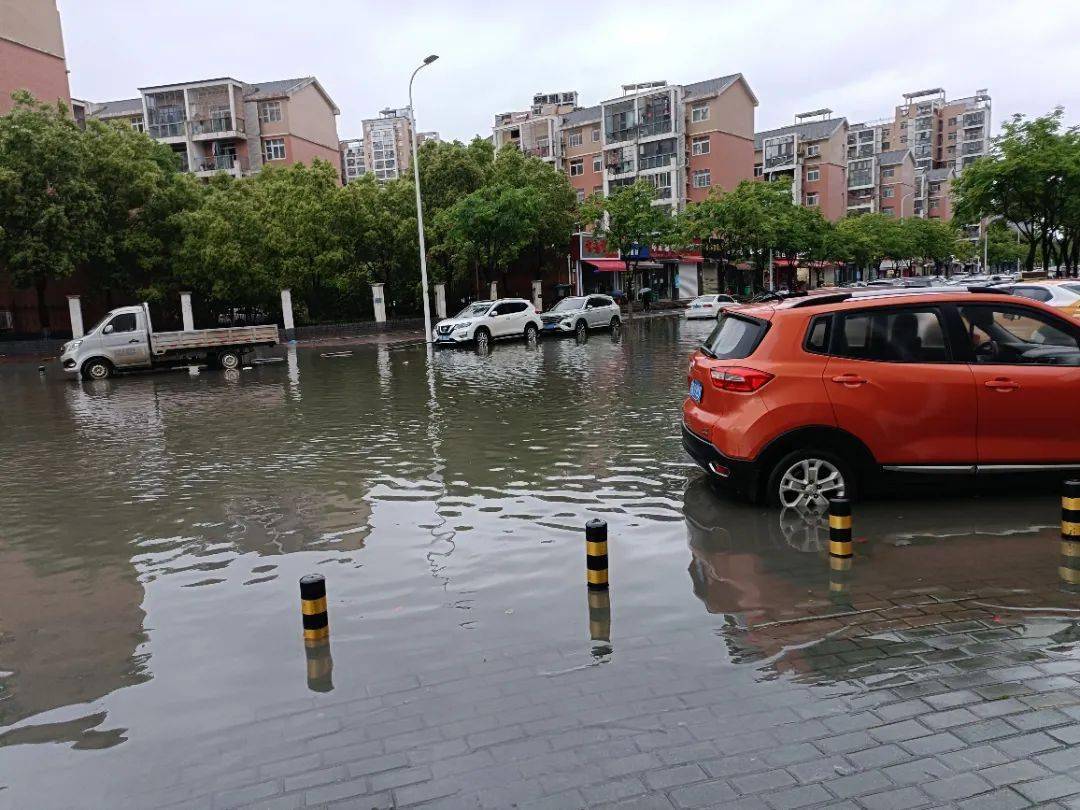 一下雨東西湖多地積水嚴重