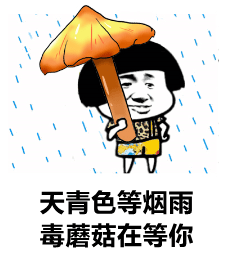 云南常见毒蘑菇图鉴更新吃完躺板板的不止红伞白杆