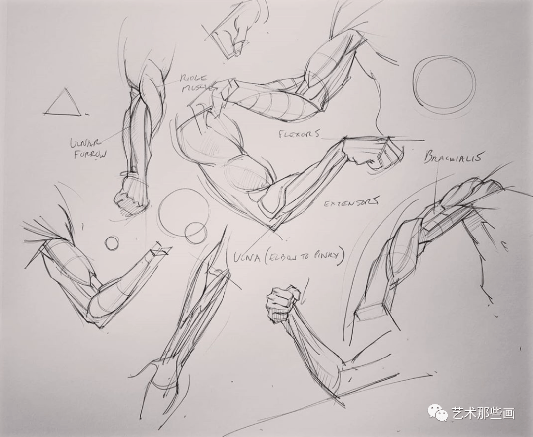 漫画人物绘画教程:全角度动态捕捉_人体_骨骼_速写