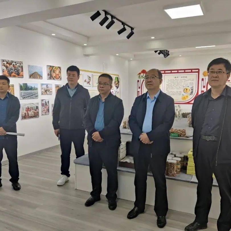 “小康路上看老乡”调研采访组走进两当县_陇南_活动_形式