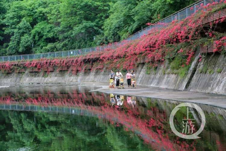 盤溪河步道▲苦竹溪步道山林步道登高尋野趣 豐富市民生活提起到重慶