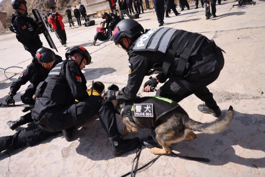 弓拉满剑在手石嘴山公安特警武装实战演练燃爆四月天