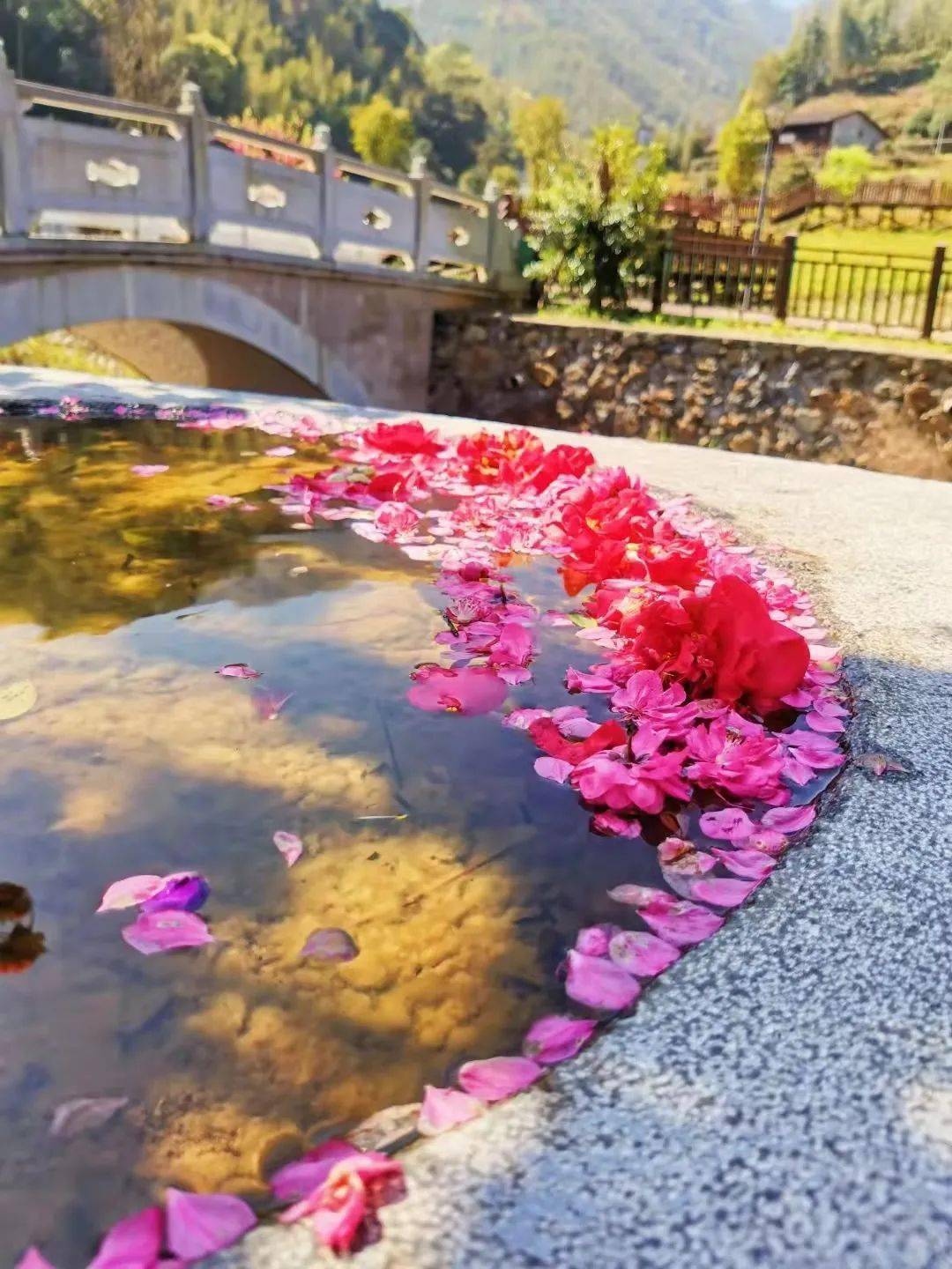 最美人间四月天一起到溪源峡谷赏花踏青吧