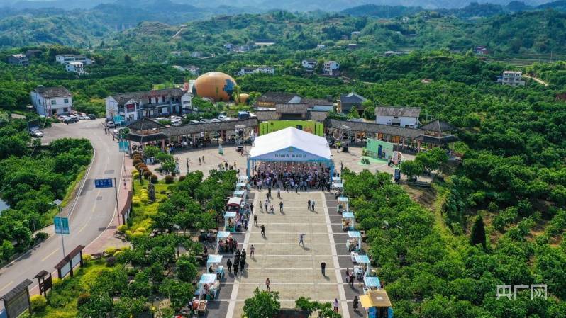 “柚”见花海 重庆梁平百里柚花香满园