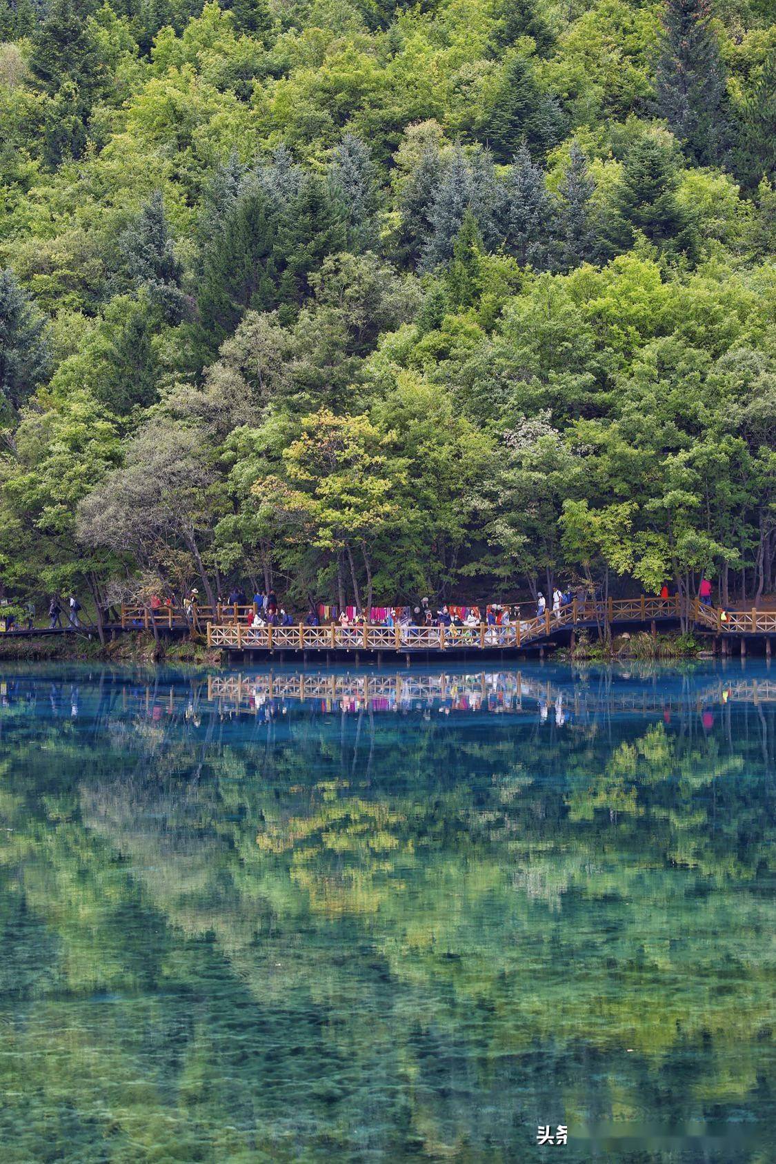 奇幻九寨之行,寻觅人间天堂,三天两晚九寨沟畅游攻略_树正_小镇_查沟