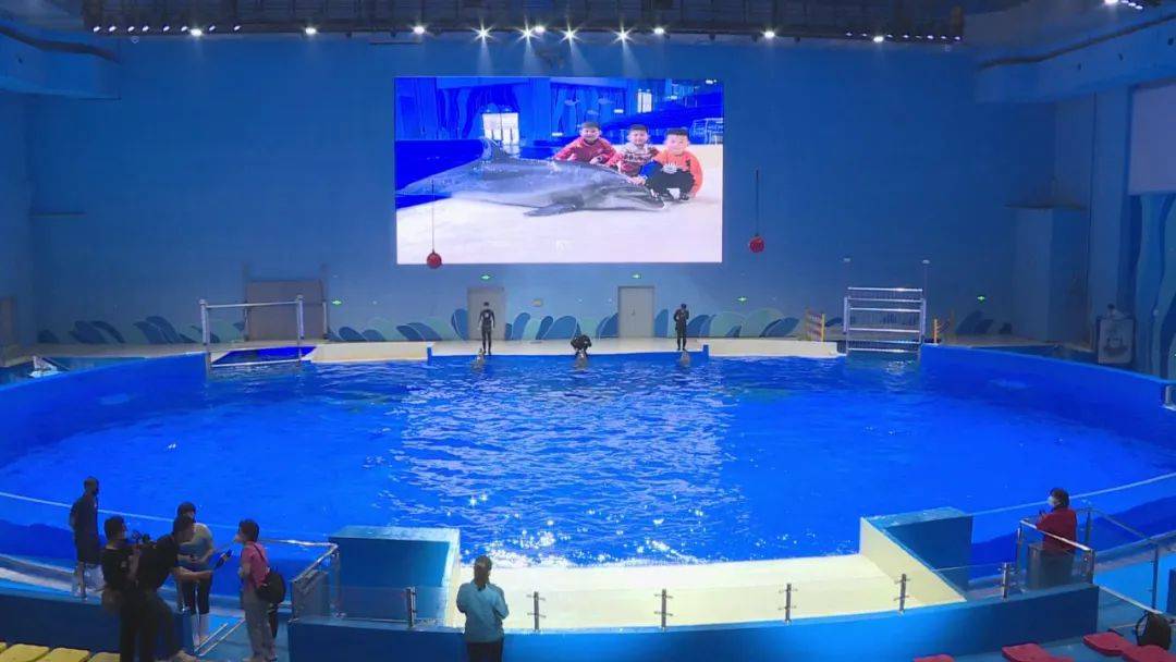 石家莊動物園極地海洋世界五一攜驚喜而來