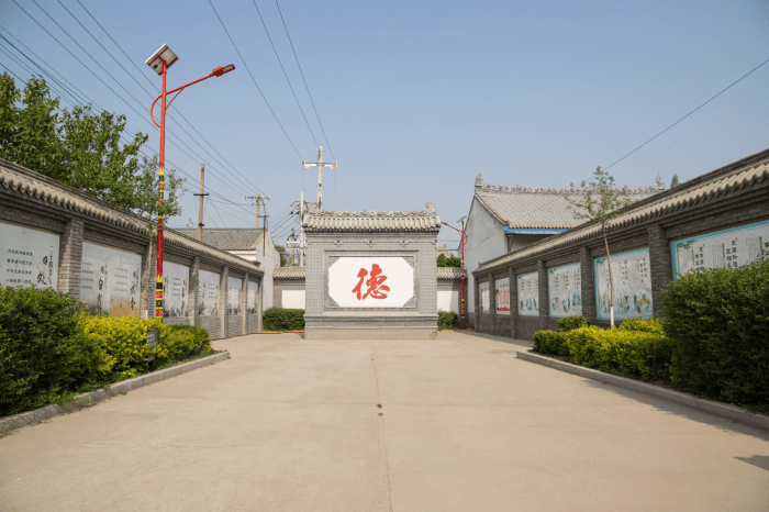 踔厉奋发争春早乡村振兴东风劲网络主题活动走进合阳县福德村