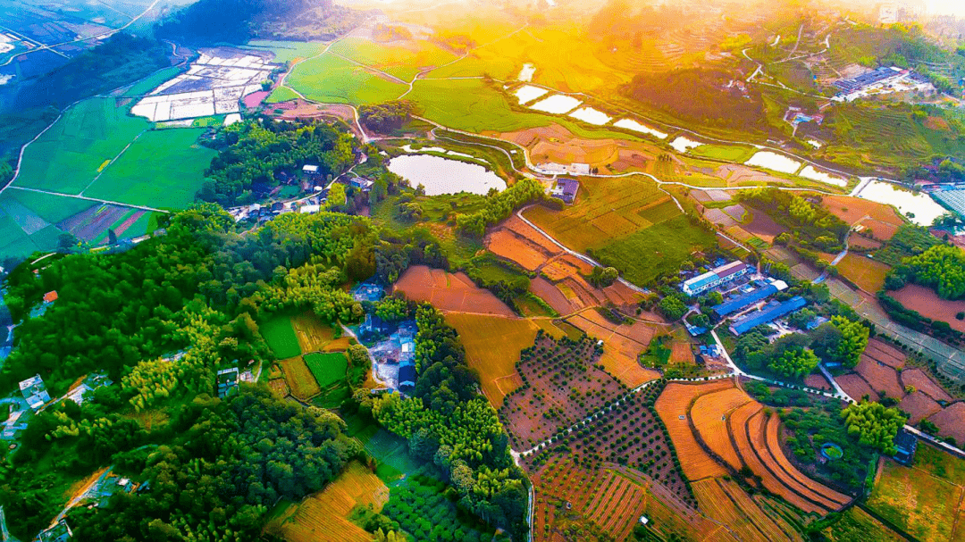 蛟湖黄慎文化园(蛟湖小镇)——天鹅洞——山水田园——宁化县长征精神