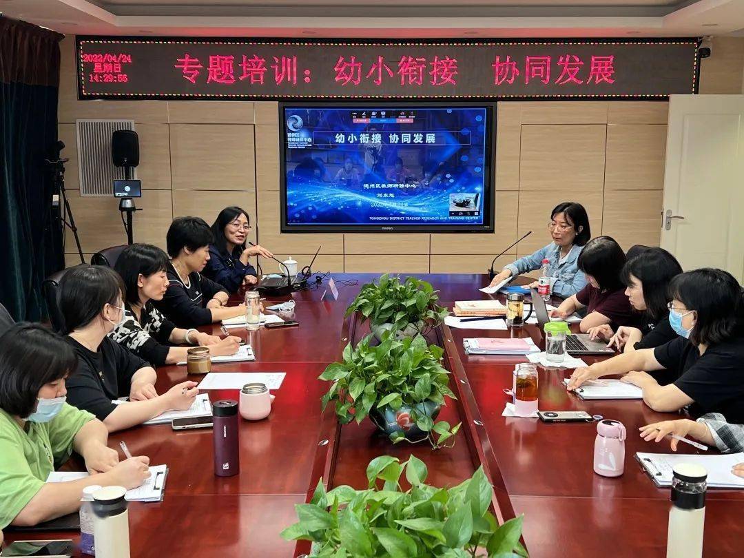 通州区幼儿园幼小衔接协同发展通州区幼儿园幼小衔接专题培训