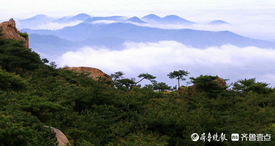 日照九仙山现云海奇观,仿佛穿越到了童话仙境绿水青山就是金山银山!