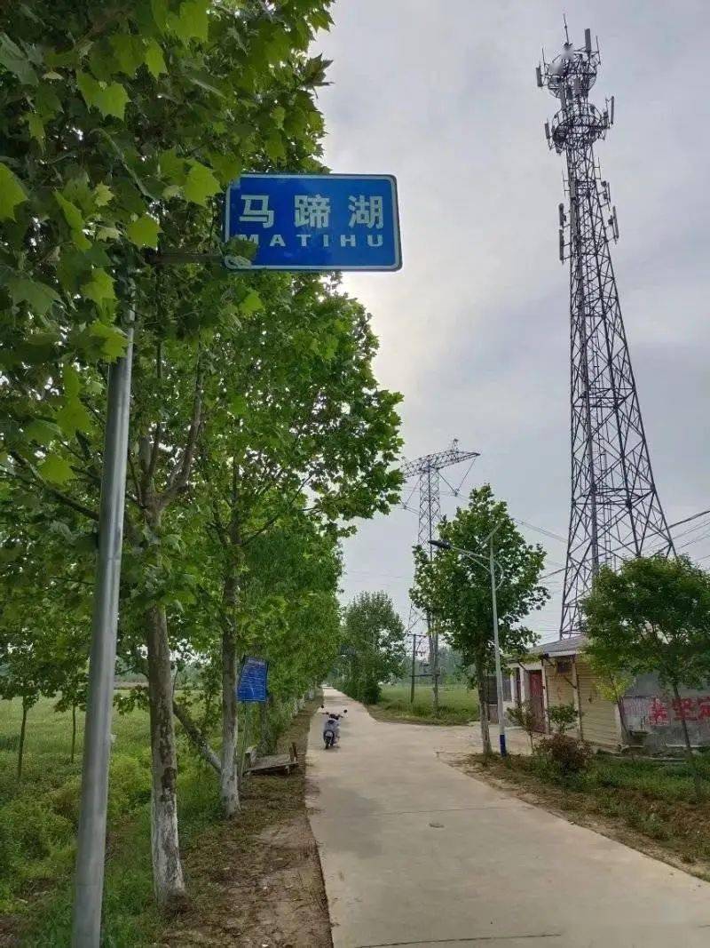 行走的风景探访汝南县东官庄马蹄湖肖永成