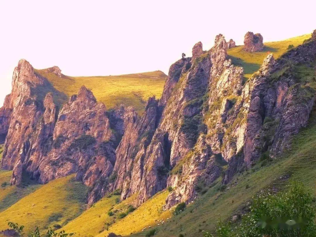 湿地草原梨园二郎山岷县治愈系风景来咯