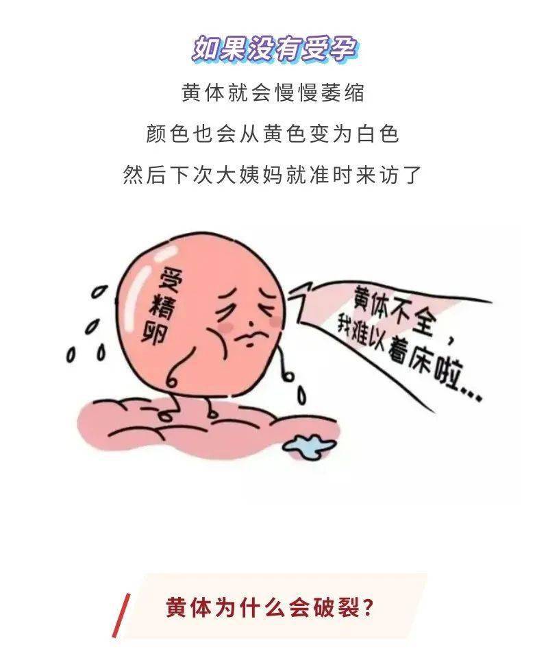 刘畊宏女孩跳操导致黄体破裂爱美的同时也要注意身体