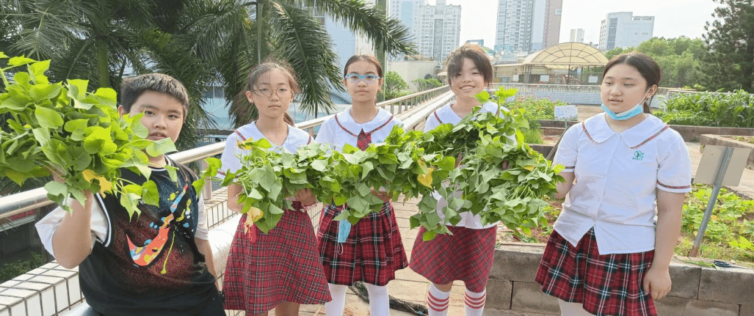 广州开发区第一小学图片