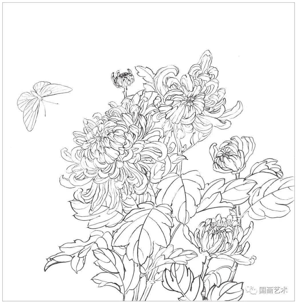 图文教程教你画工笔菊花