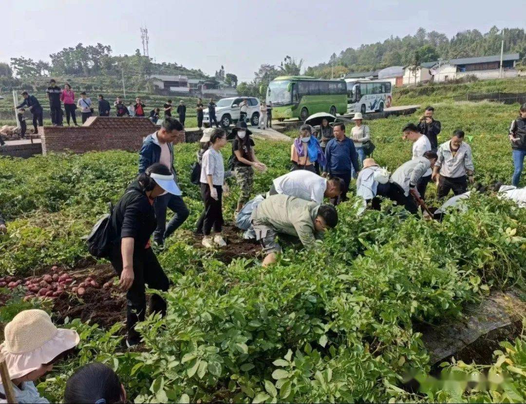 01龙陵县城—松山大战遗址公园—惠通桥(滇缅公路—勐糯万亩褚橙庄园