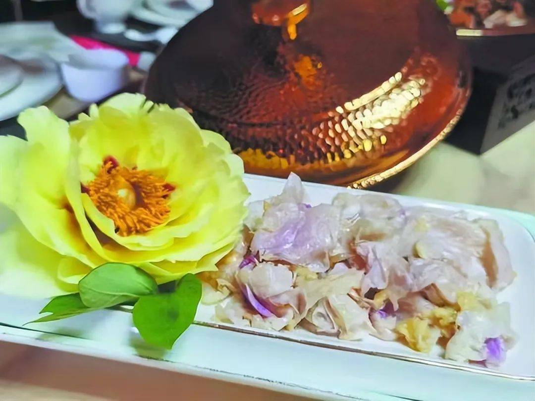 牡丹花香飘万家