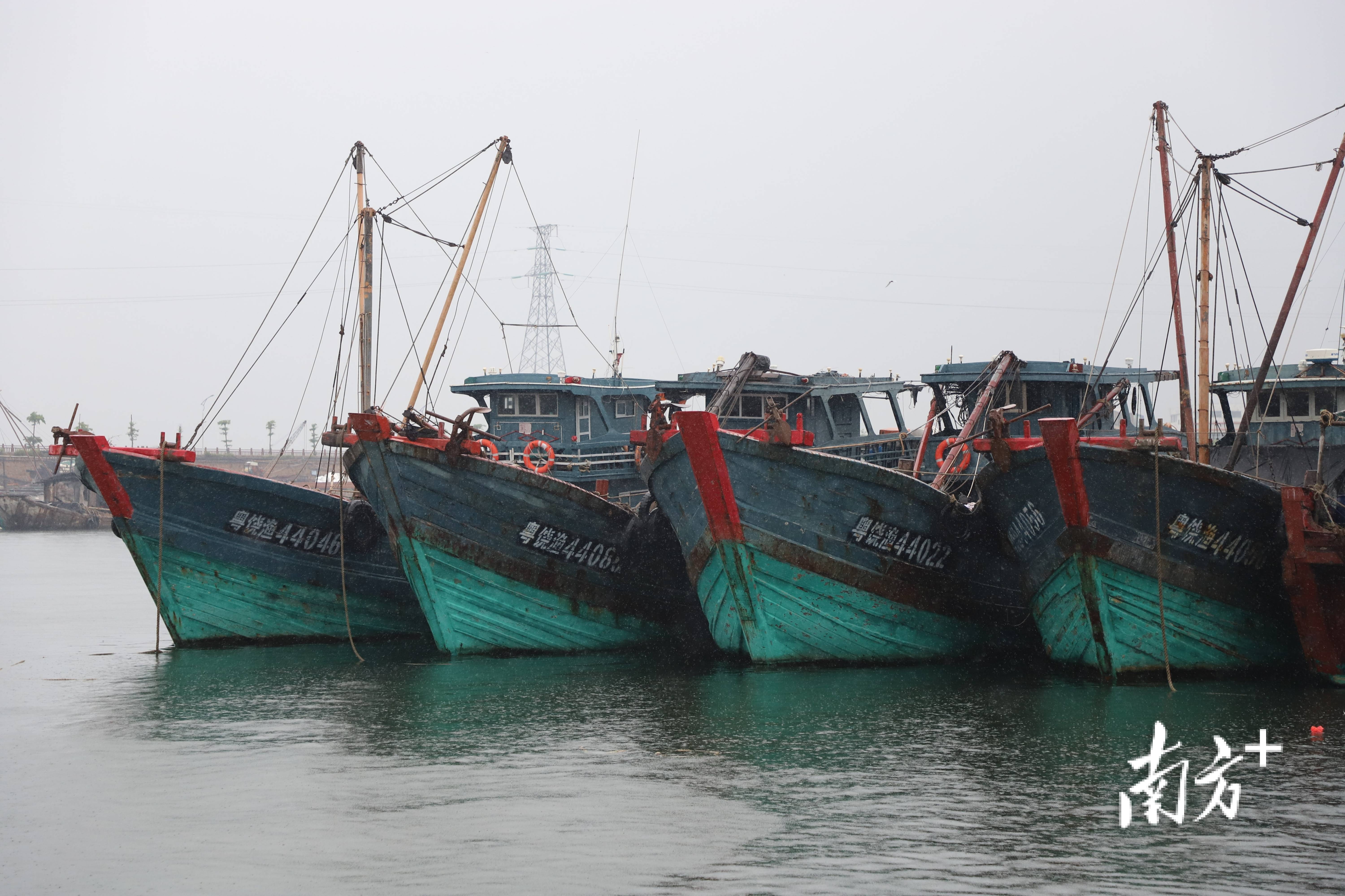今日休渔,潮州饶平应休渔船均返港停泊