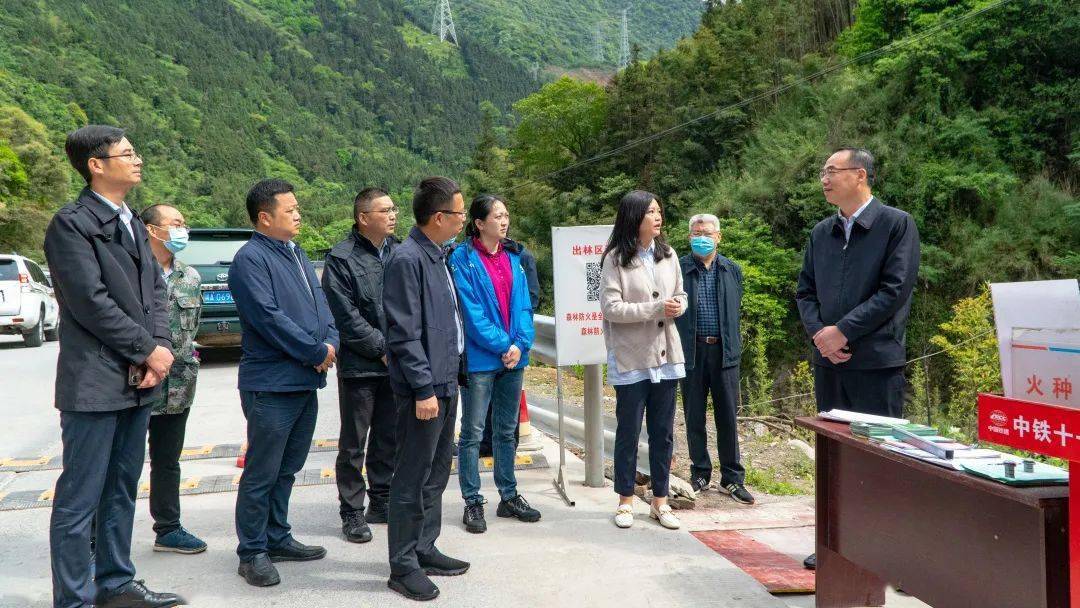 县委常委,常务副县长陈强,县级相关部门负责人参加调研.