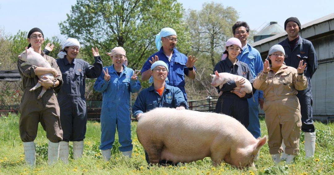 分析了日本近20個農業主題公園我們發現了提高盈利的三大套路