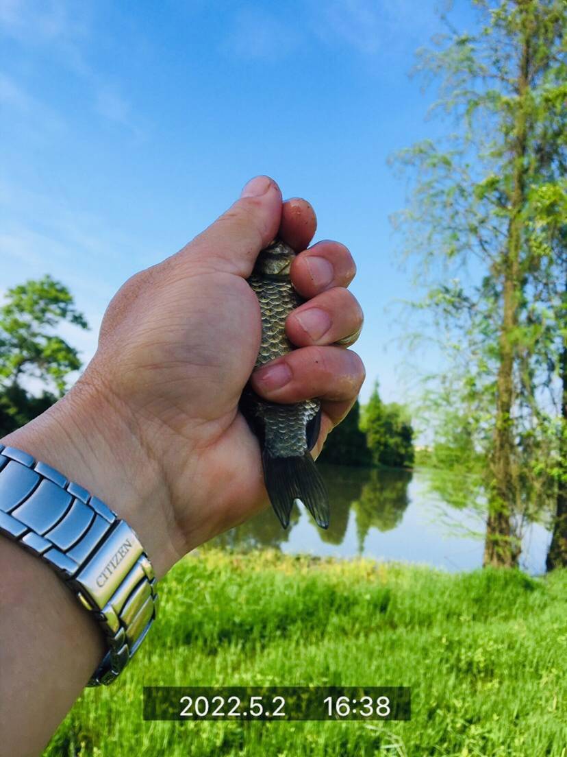 「防蛇篇」人间四月芳菲尽,醉美五月鱼水情_蛇头_人类_曼巴