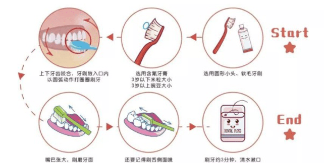 孩子建议使用圆弧刷牙法,将刷毛放在牙面上,轻压使刷毛略弯曲,在牙面