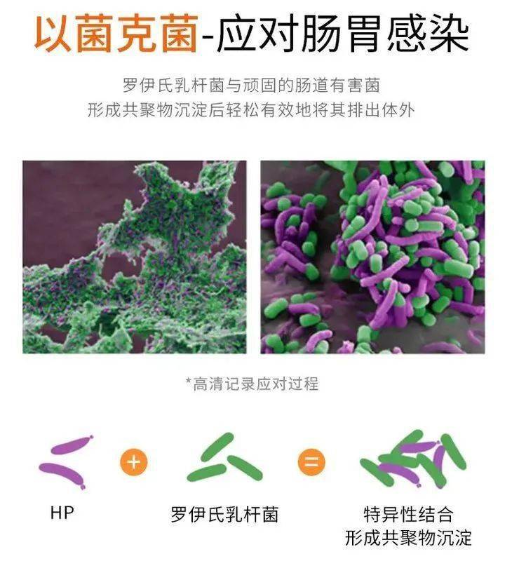 值得一提的,就是軟糖內的新西蘭國寶麥盧卡蜂蜜,中央電視臺也特別報道