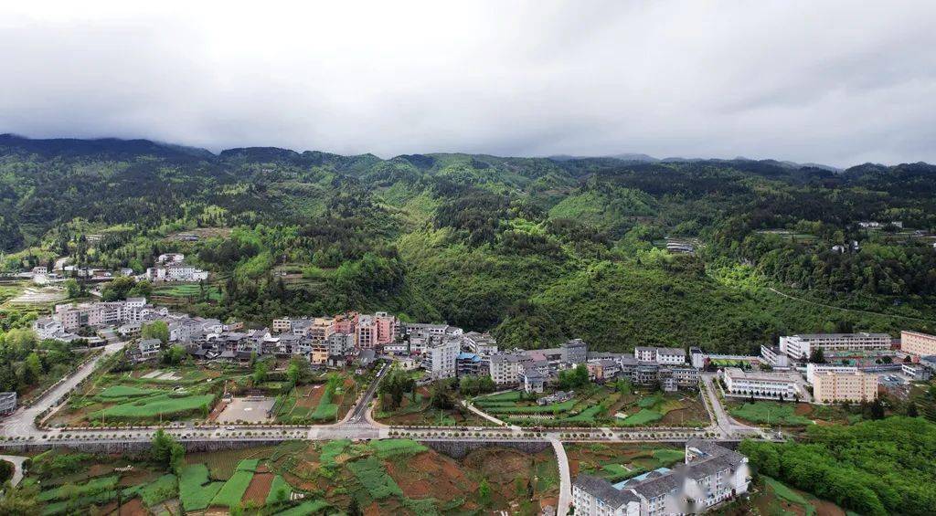 道真自治县阳溪镇:"微岗位" 激发"自治动力"