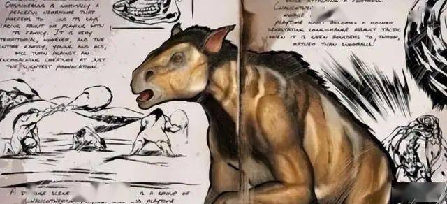 神农架再现驴头狼相传是史前猛兽它的出现是在警示什么