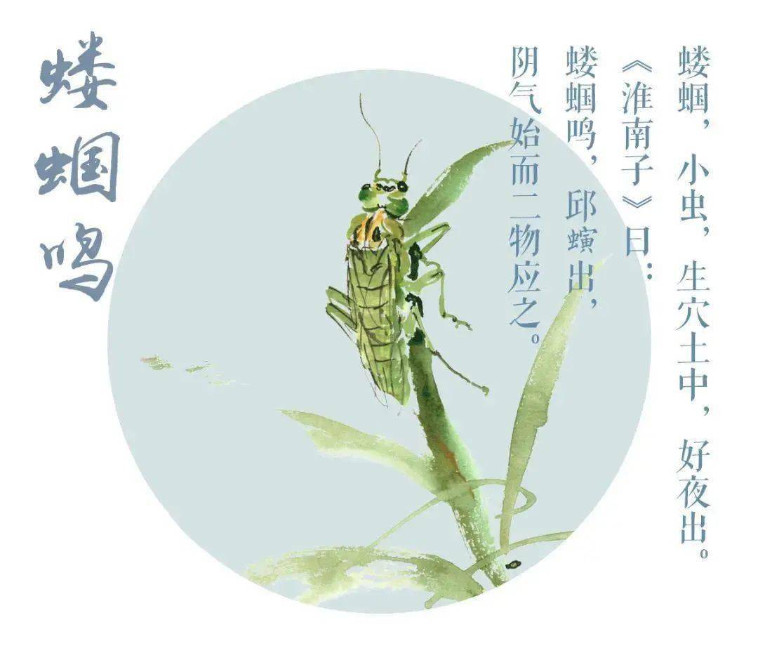 今日立夏丨知是时节入夏来,降火也别忘防火_松后_蚯蚓_高温