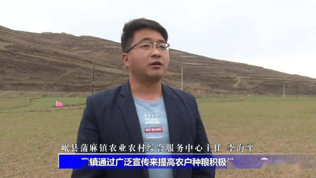 岷县蒲麻镇虎龙口村村民 李联合:今年种植春小麦有补助,粮食和牲畜吃
