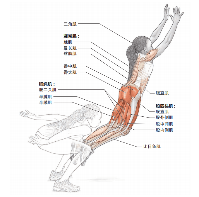 身體_手臂_膝關節