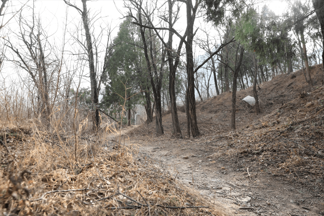 林迈可小道2015年,在抗日战争胜利70周年之际,黑山扈战斗纪念园落成