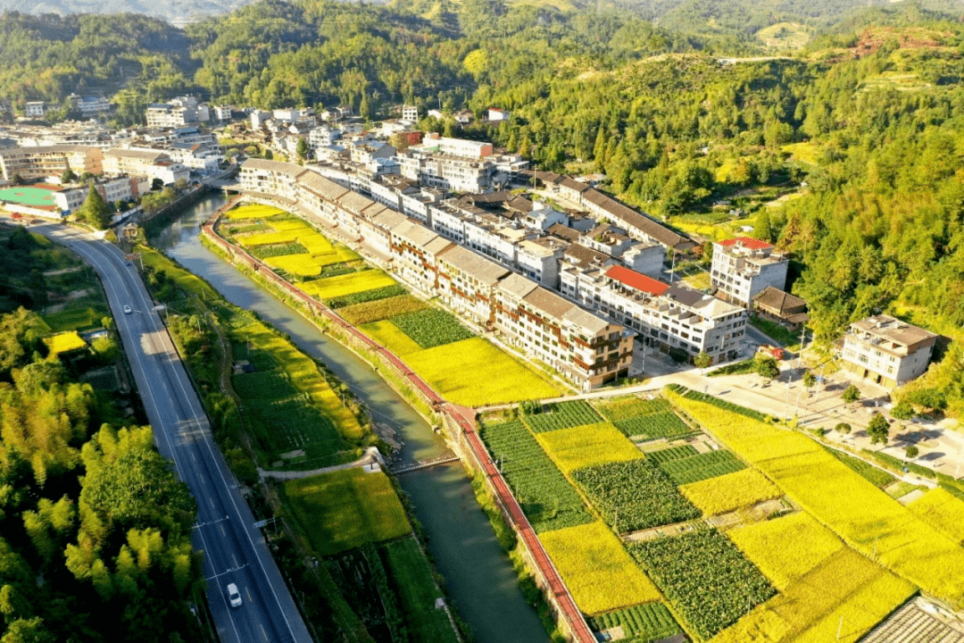 泗溪镇三个结合力促两最整治成效提档升级