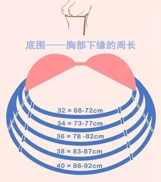 34b看着有多大求图图片