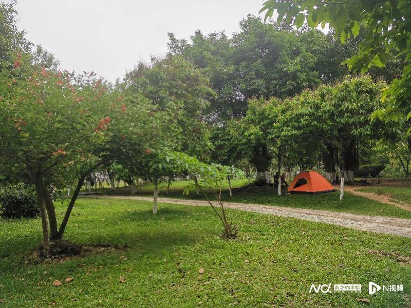 露营潮流调查：五一期间，广州各公园迎来“露营热”