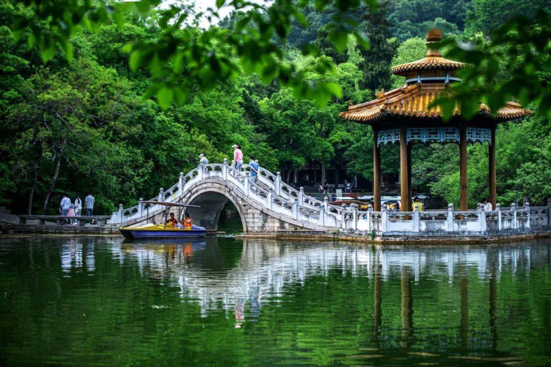 醉美滁州▍滁州夏景美如画