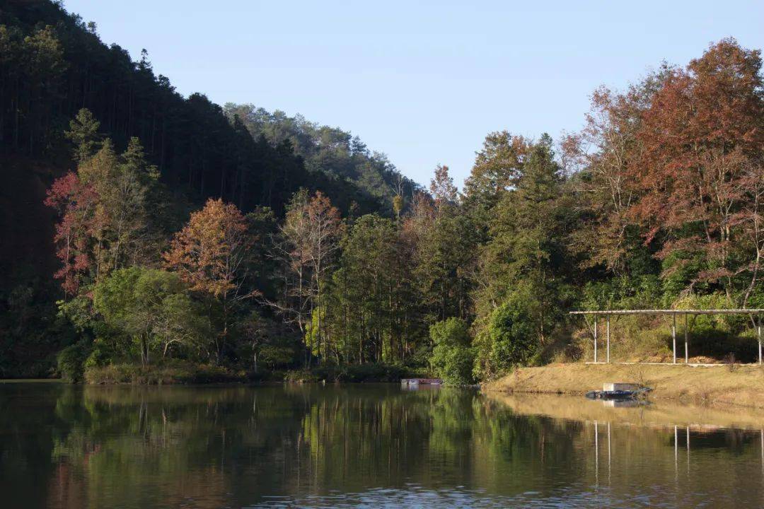 翁源半溪温泉度假村图片