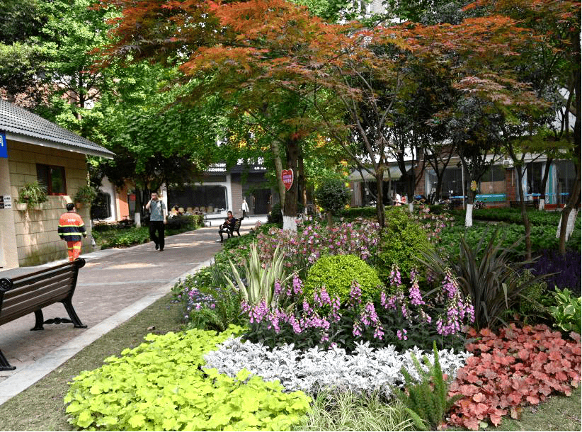 美腻荣昌街头再添4处高颜值花境可能就在你家门口哟
