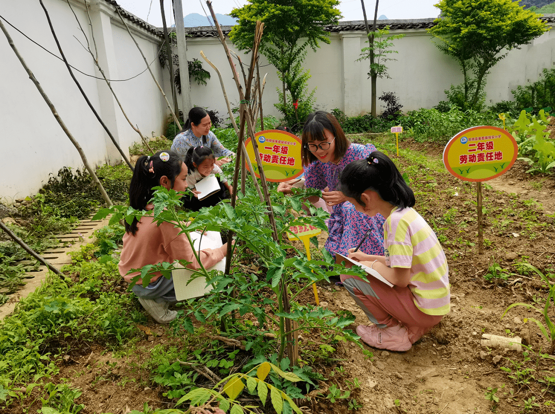 作为全校师生的劳动实践基地,基地按照班级管理,学生参与,教师指导