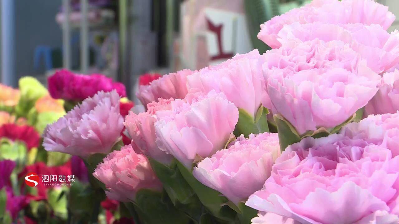 母亲节临近鲜花价格稳中有升 康乃馨 玫瑰 孙文娟