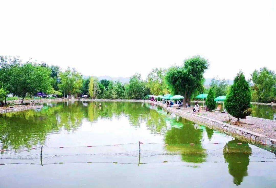 初夏的四龙度假村,不像春天那么娇柔,也不似盛夏那么热辣,犹如一位
