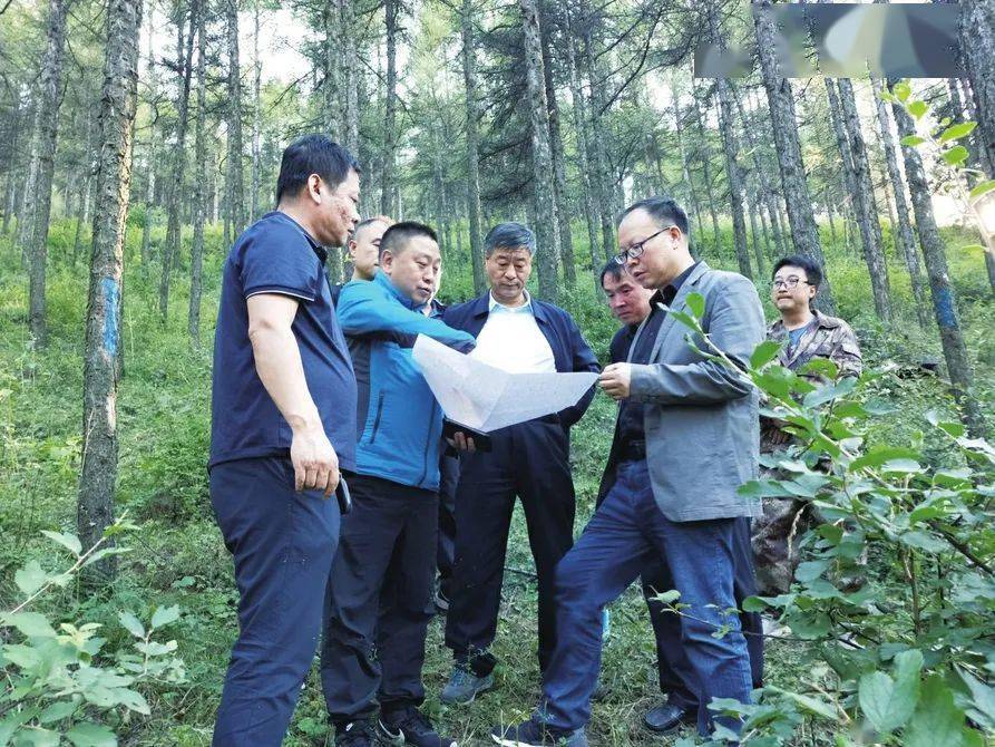 三晋青山出新彩全国五一劳动奖状获得者山西省黑茶山国有林管理局厚植