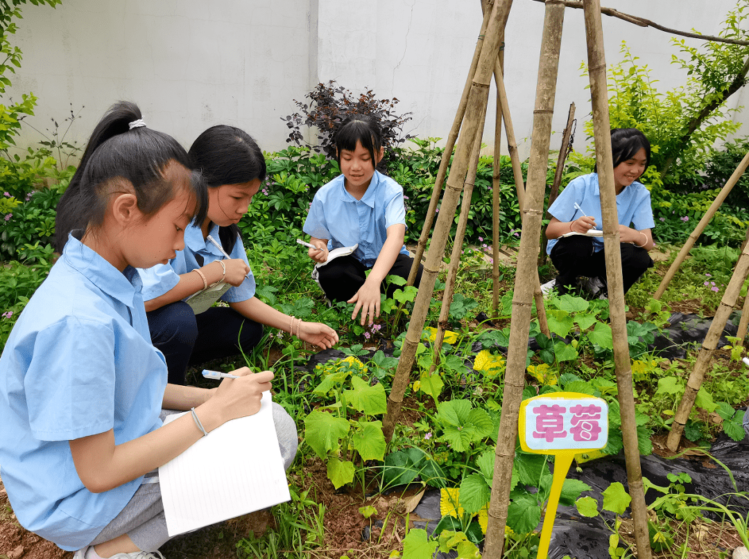 作为全校师生的劳动实践基地,基地按照班级管理,学生参与,教师指导